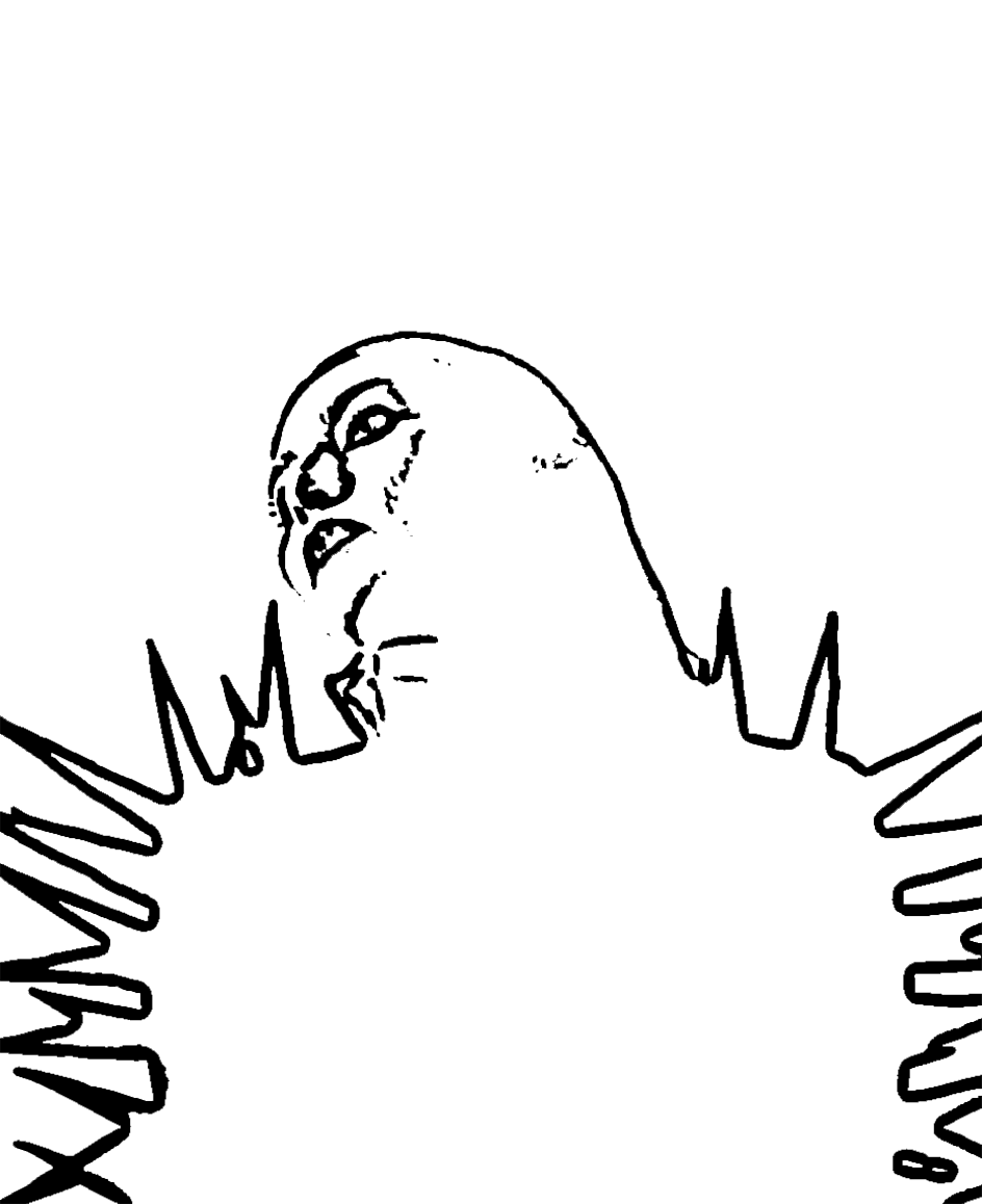 Artista - PAULA TAPE