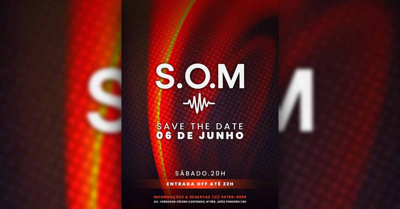 06 06 SOM 299