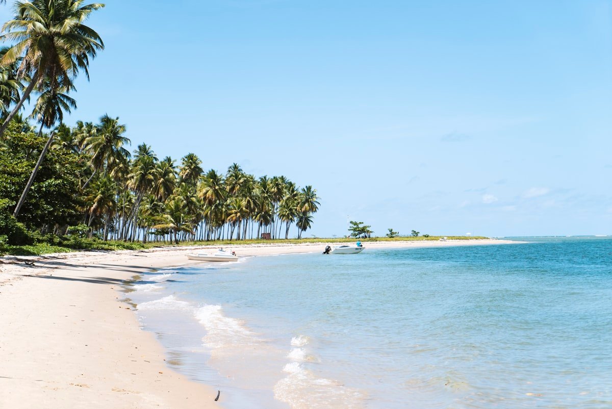 Praia dos Carneiros - imagem de apoio
